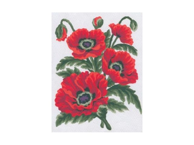 CANVAS                        EMBROIDERY KIT