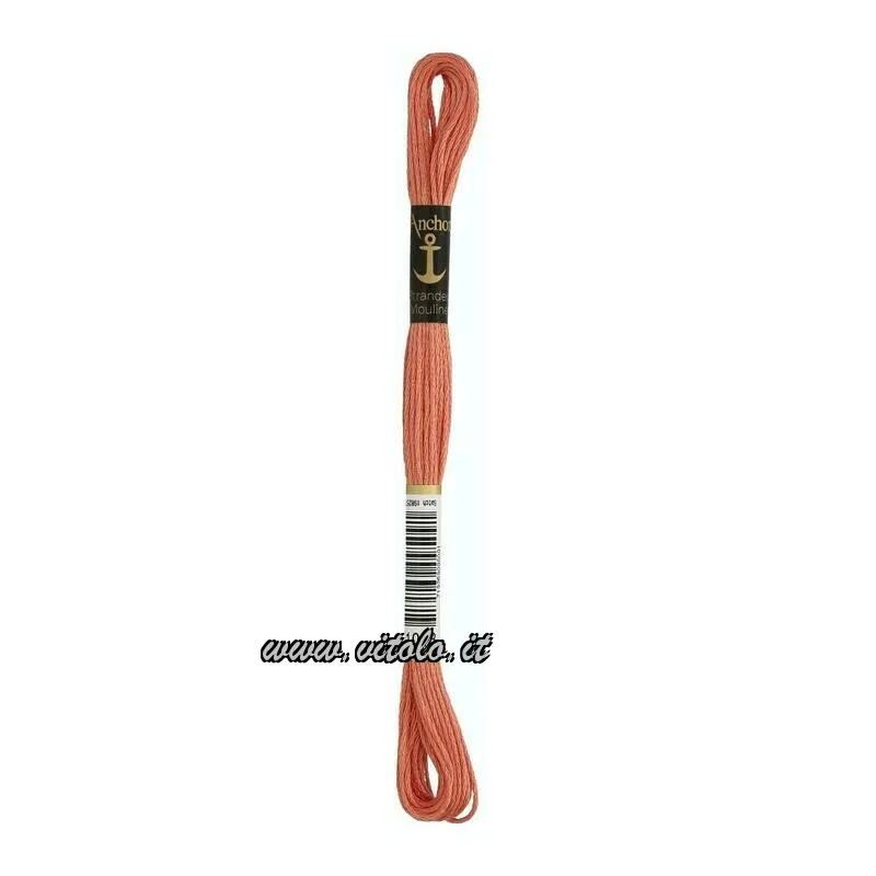 Cebolla