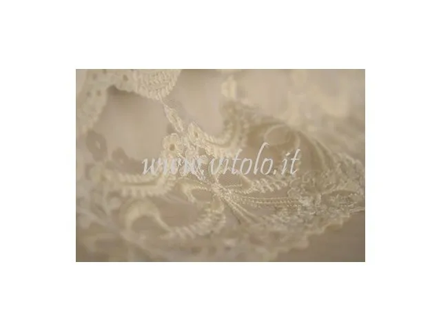 Ricami su tulle