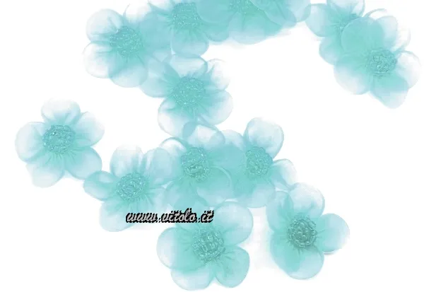 Fiori organza