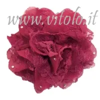 Fucsia