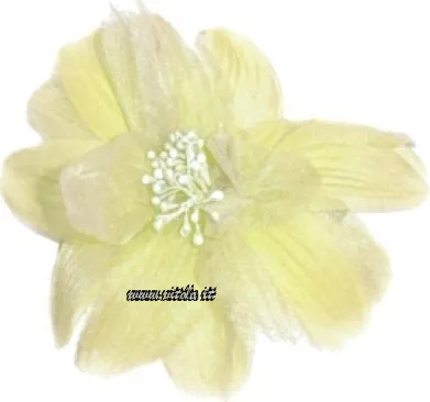 Broche