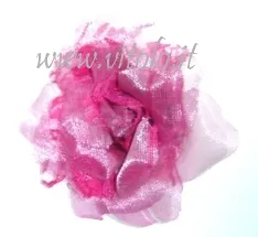 Fucsia