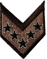Braun