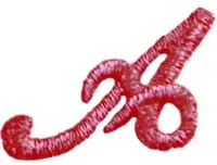 Rot