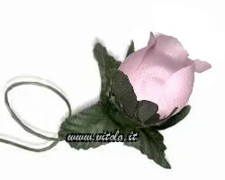 Rosa scuro