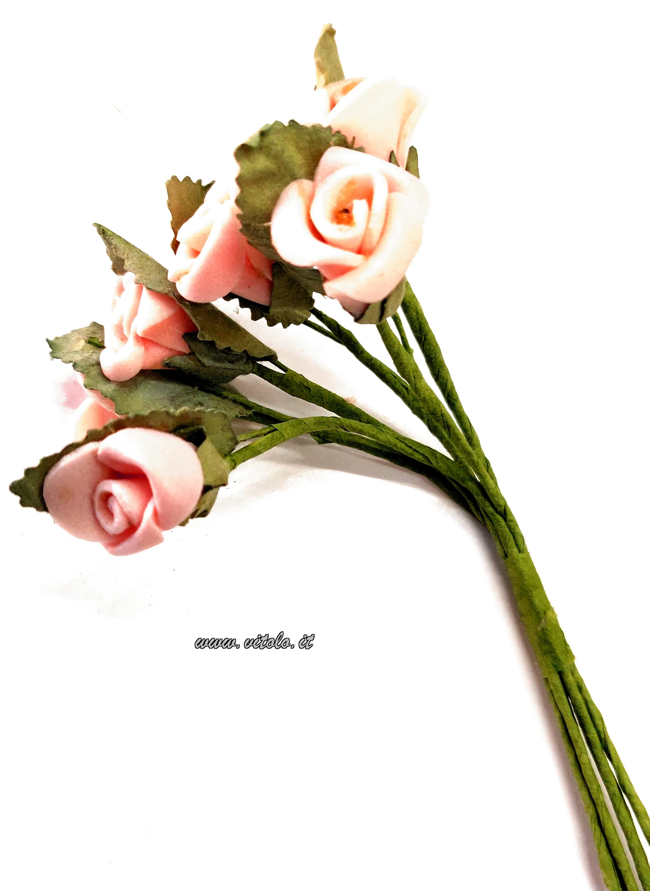 Rosa