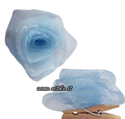 Organza