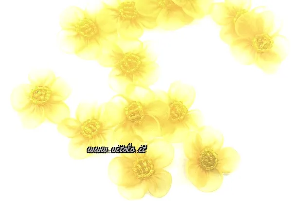 Organza