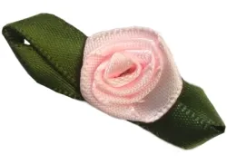 Rosa pallido