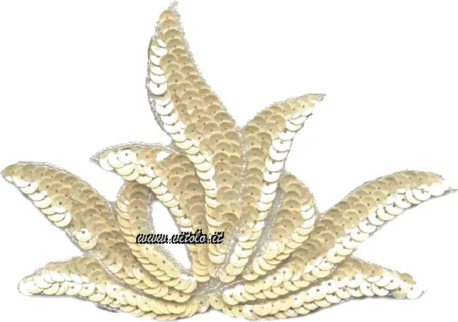 Applicazioni Paillettes