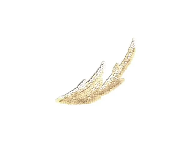 Paillettes