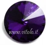 Viola