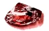 Rot