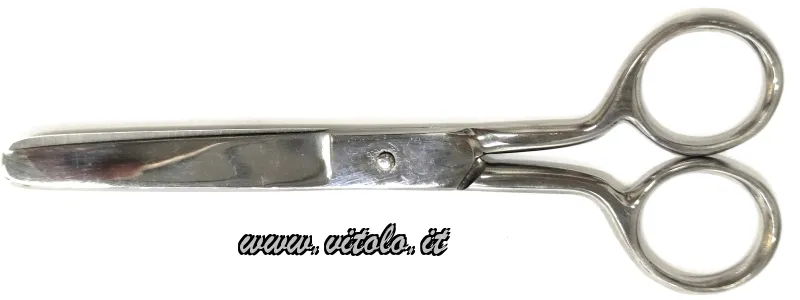Forbici professionali inox da 6" in scatola da 12 pezzi