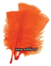 Arancione