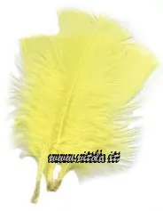 Giallo