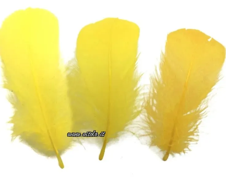 Giallo