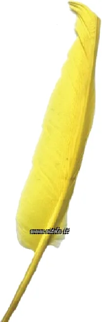 Guarnizioni Mezze penne oca