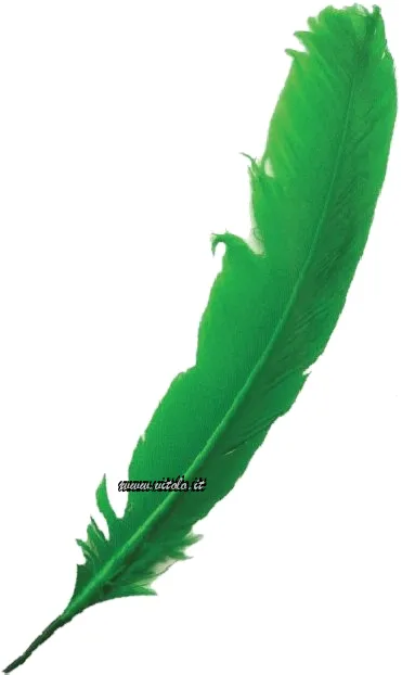 Verde claro