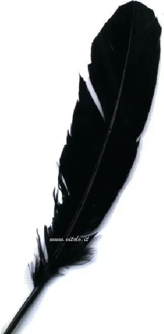 Negro