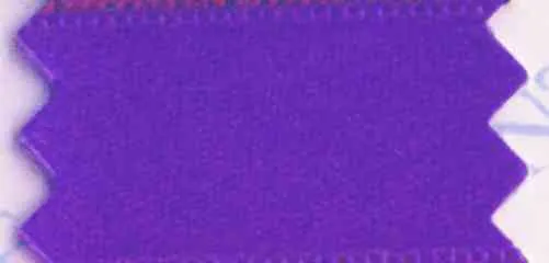 Viola