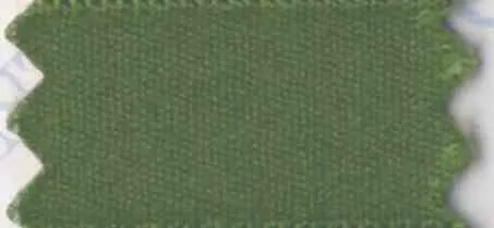 Verde oliva