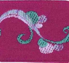 Fucsia