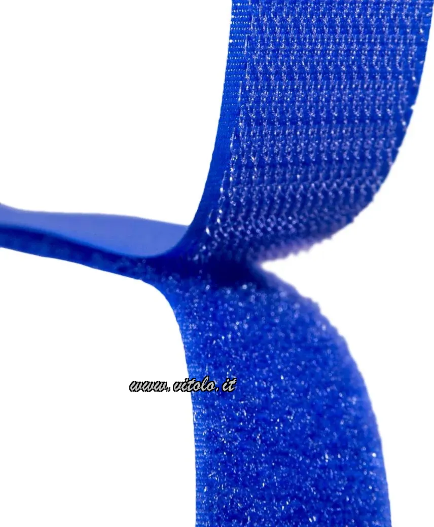 Bleuet
