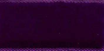 Violetto