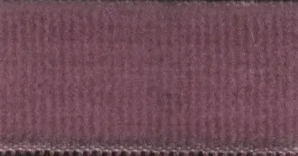 Cipolla