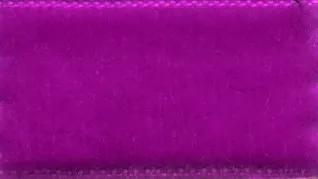 Amarena-Kirsche