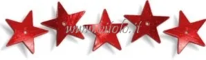 Paillettes a forma di stella con foro