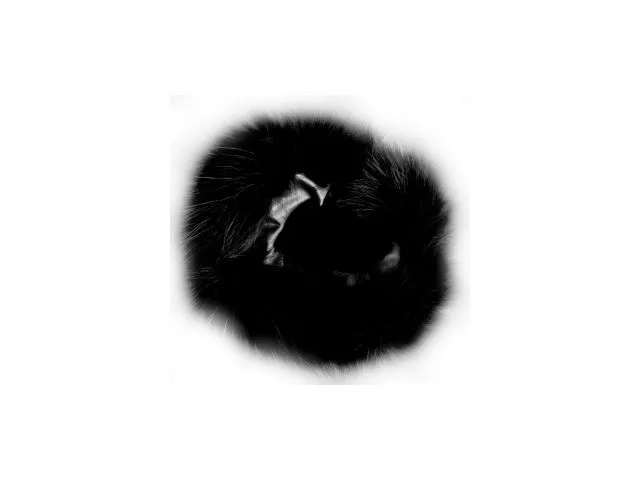 Negro