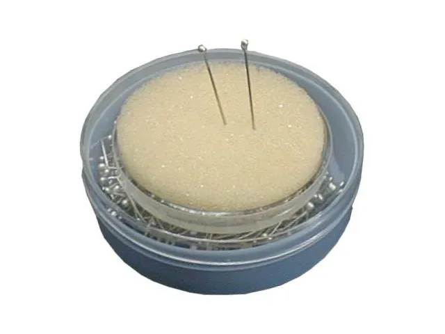 Spilli inox con testa tonda
