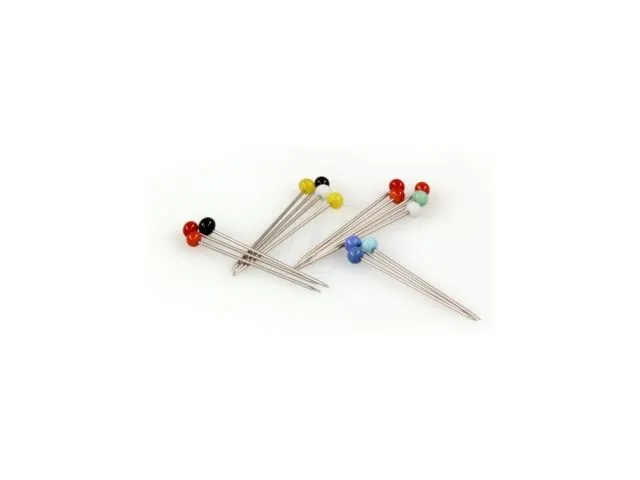 Testa plastica