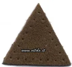 Kamel