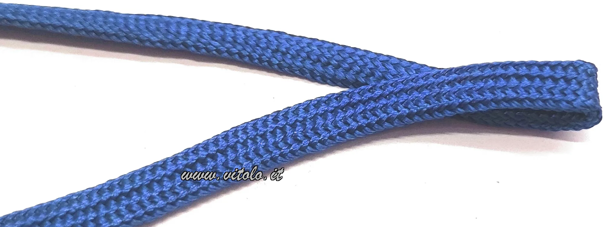 Bleuet