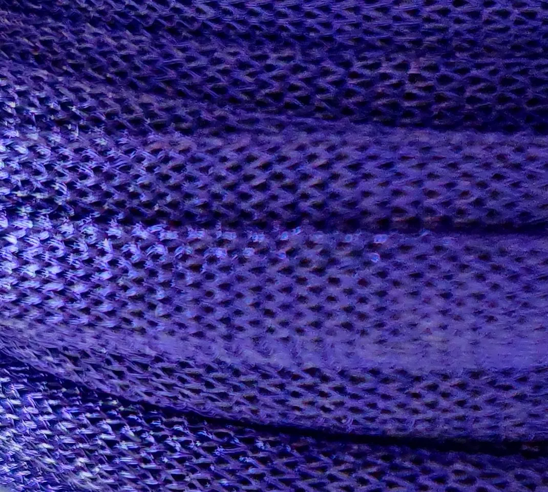 Viola