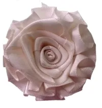 Rosa pallido