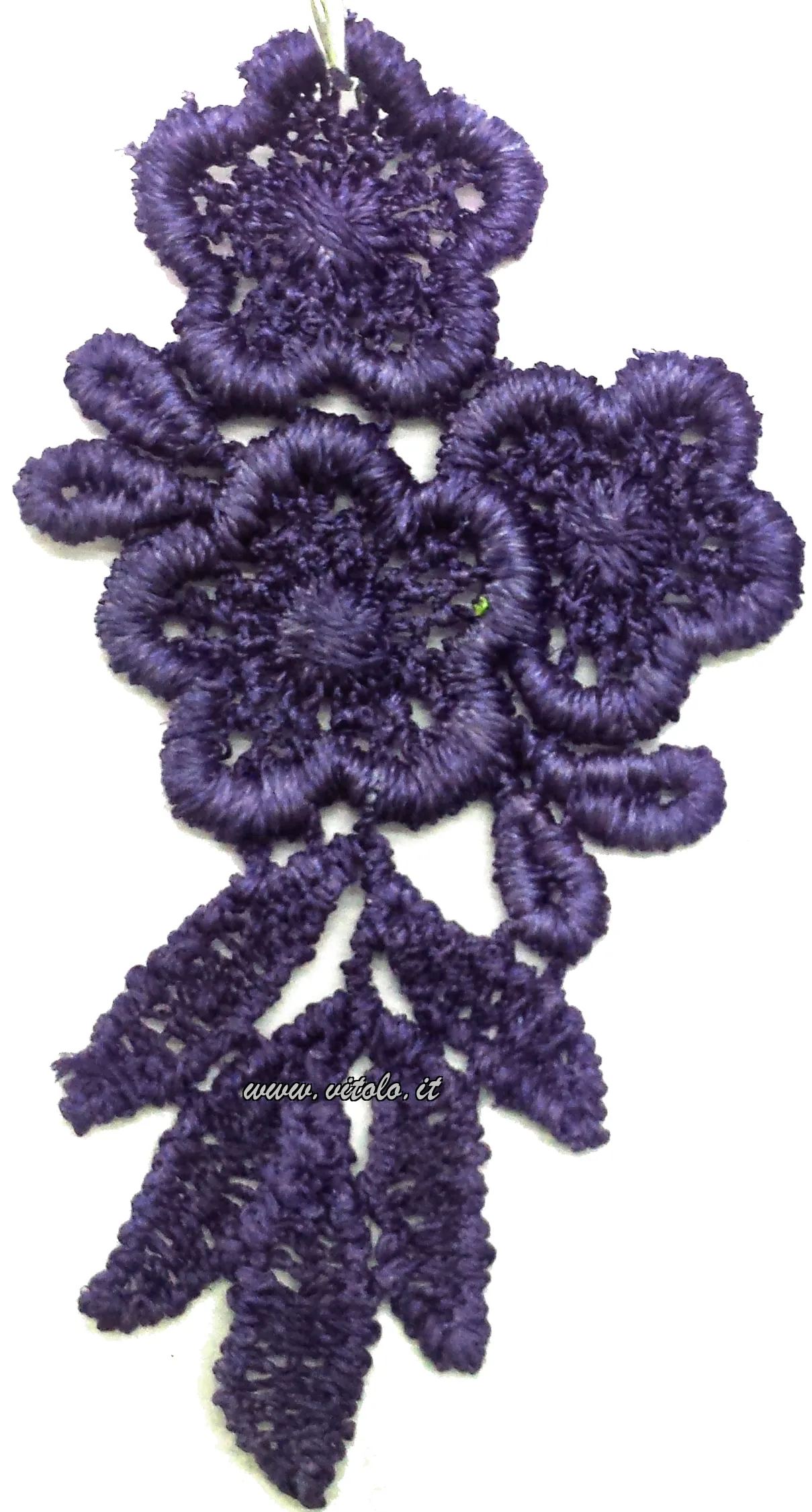 Viola