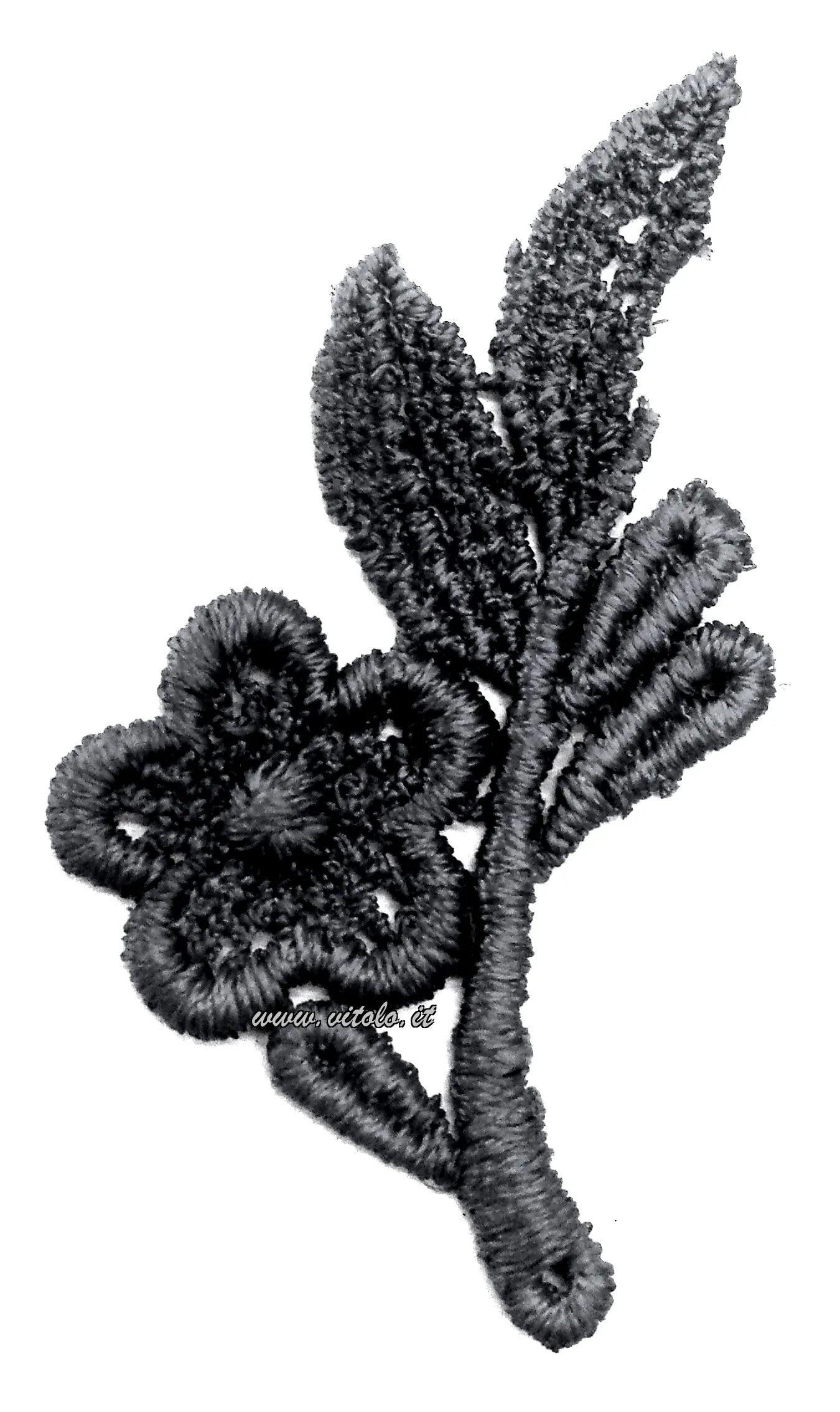 Anthracite