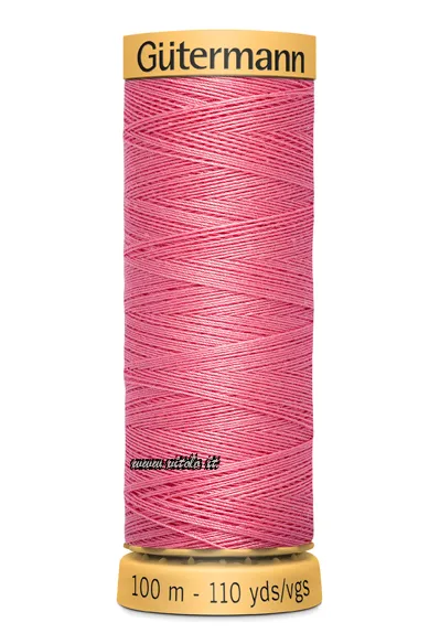 Rosa coral