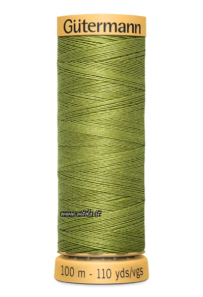 Verde bosque