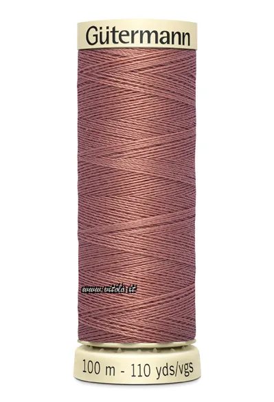 Cipolla medio