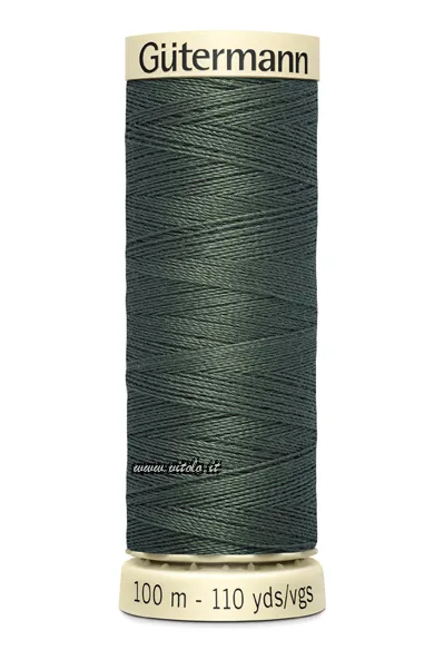 Grigio/verde