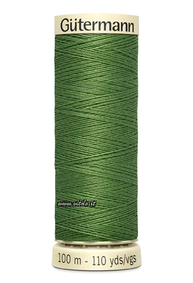Verde muschio