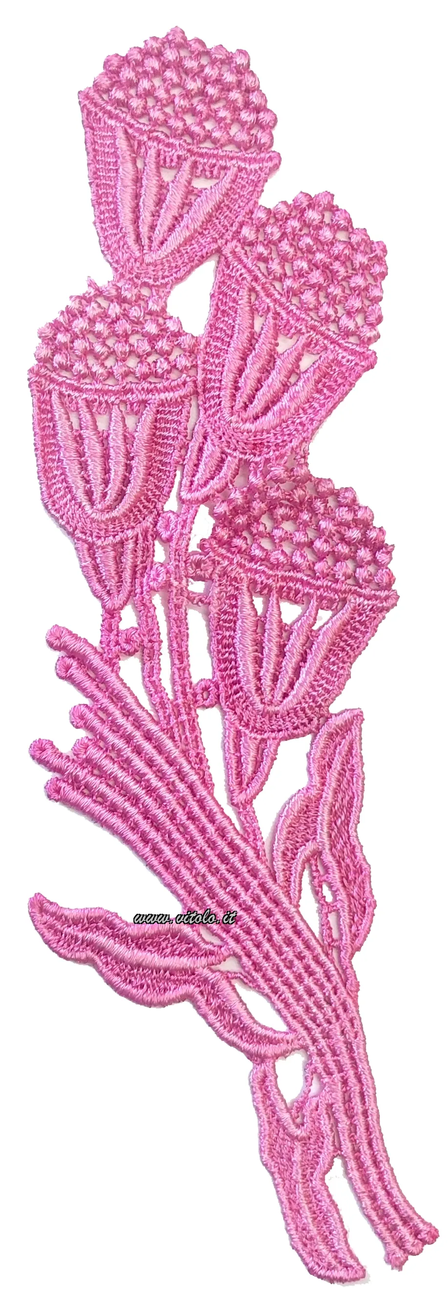 Rosa