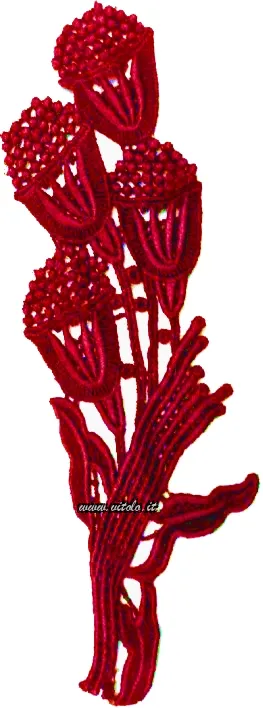 Rosso