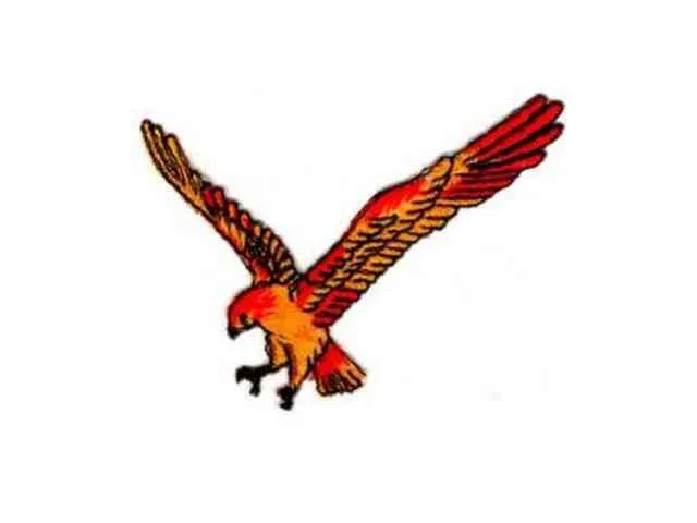 Termoadesive Aquila in busta da 4 pezzi